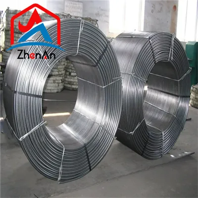 La différence entre le calcium et le fer